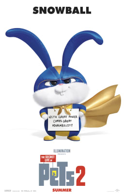 Movie Poster Image for The Secret Life Of Pets 2