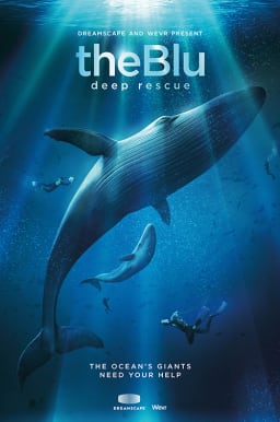 Movie Poster Image for Dreamscape VR: The Blu: Deep Rescue