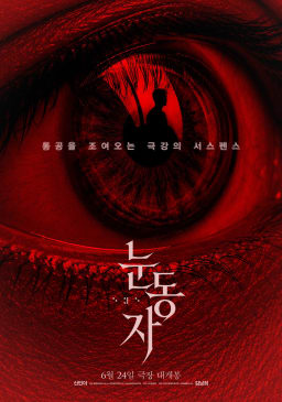 Movie Poster Image for The Eyes