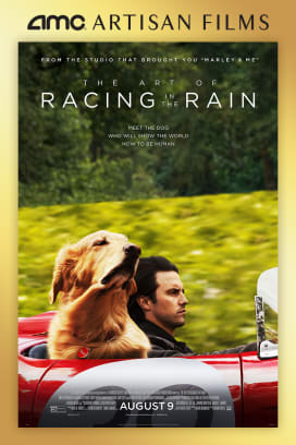 The Art Of Racing In The Rain