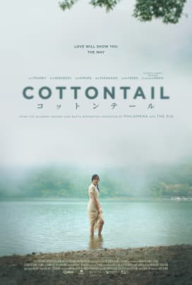 Cottontail