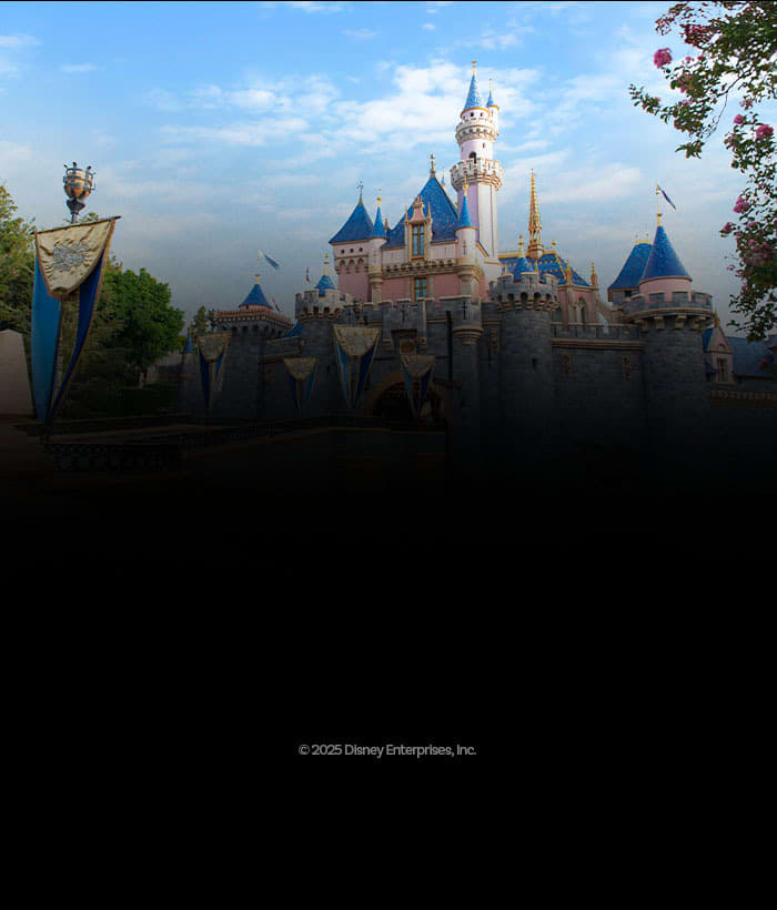 Snow White Sweeps