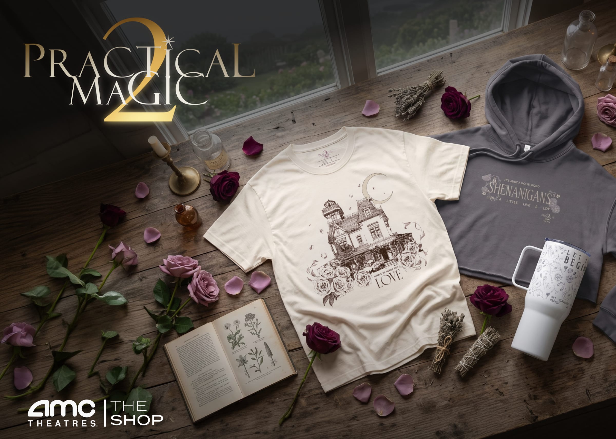 Practical Magic 2 Merch