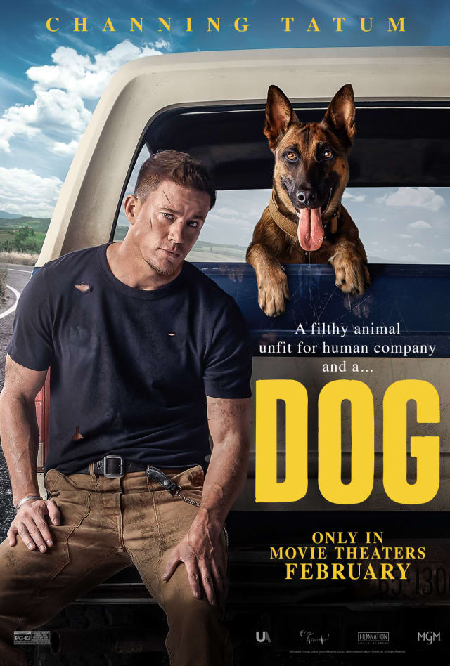 Dog