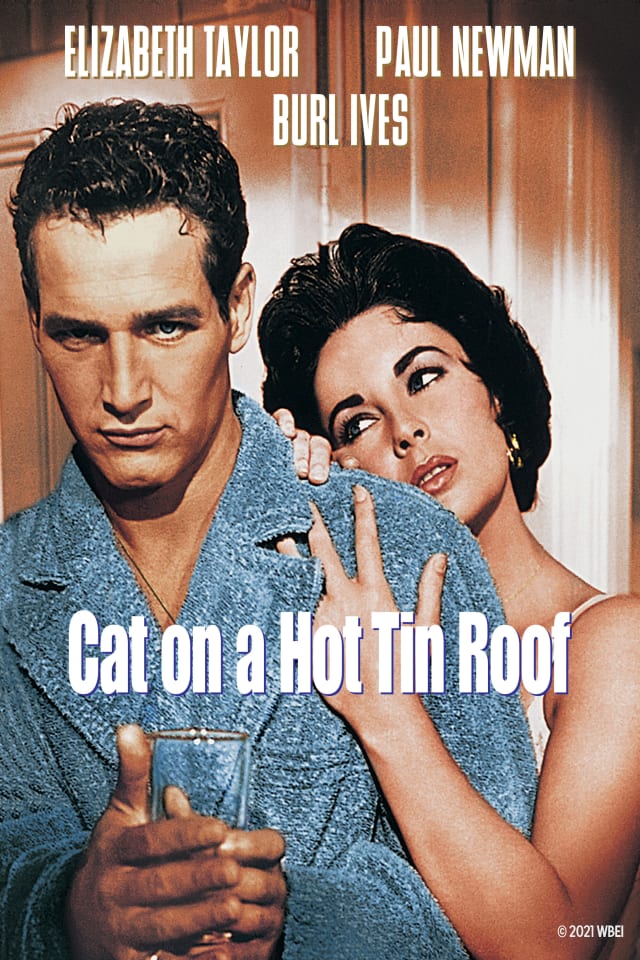Cat On A Hot Tin Roof