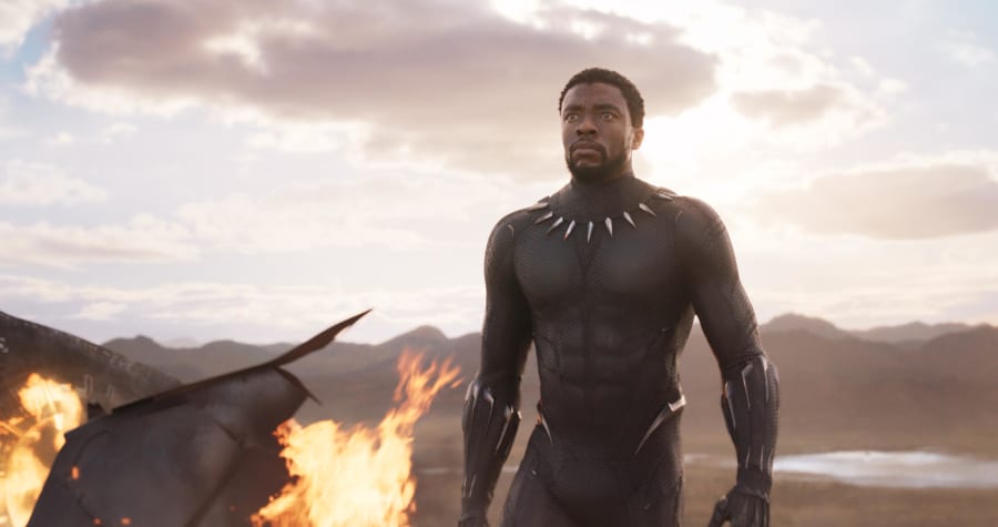 Black Panther in Black Panther