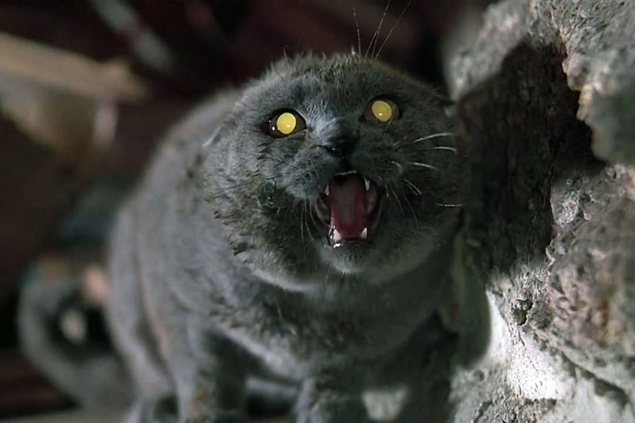 Church in Pet Sematary