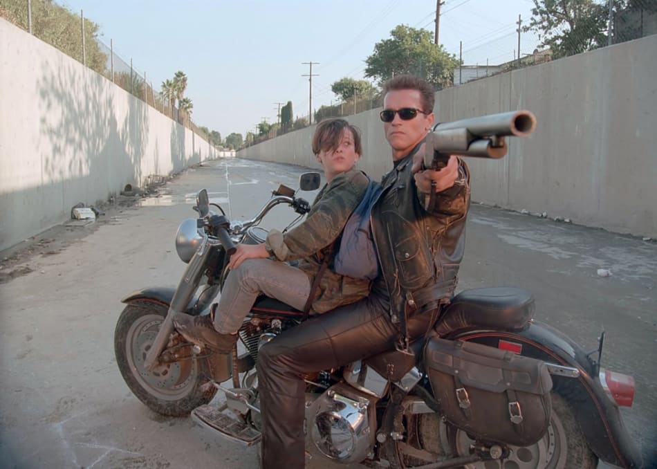Hollywood's Enduring Action Hero
