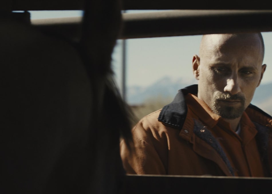 The Mustang: A New Kind of Prison Drama