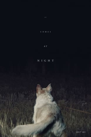 movie poster for It Comes At Night