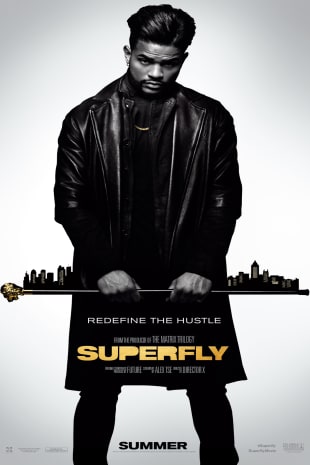 movie poster for Superfly