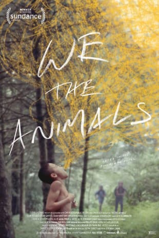 movie poster for We The Animals