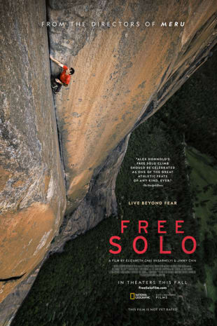 movie poster for Free Solo