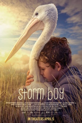 movie poster for Storm Boy
