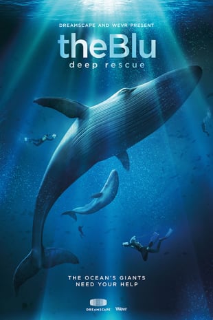 movie poster for Dreamscape VR: The Blu: Deep Rescue