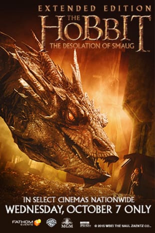 movie poster for The Hobbit: The Desolation of Smaug (Extended Edition)
