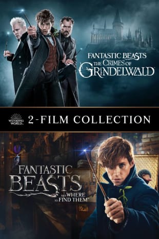 movie poster for Fantastic Beasts The Crimes Of Grindelwald / Fantastic Beasts And Where To Find Them