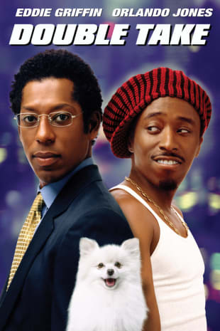 movie poster for Double Take