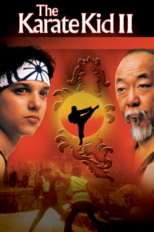 movie poster for The Karate Kid II