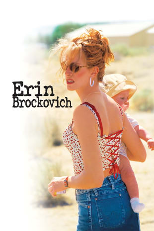 movie poster for Erin Brockovich