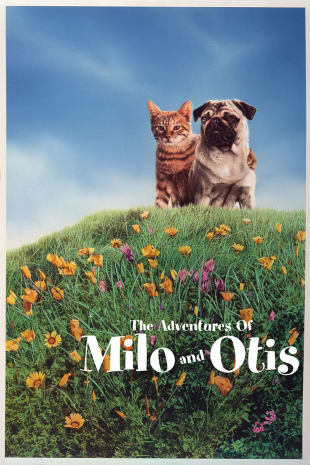 movie poster for Adventures of Milo & Otis