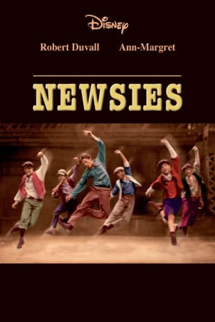 movie poster for Newsies