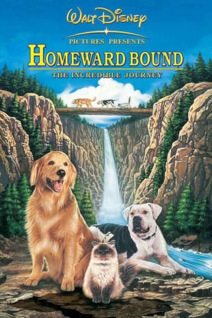 movie poster for Homeward Bound: The Incredible Journey