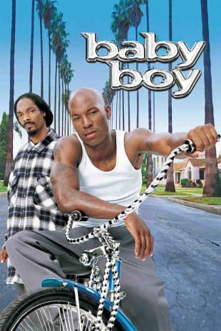 movie poster for Baby Boy