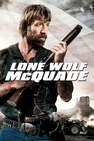 movie poster for Lone Wolf McQuade