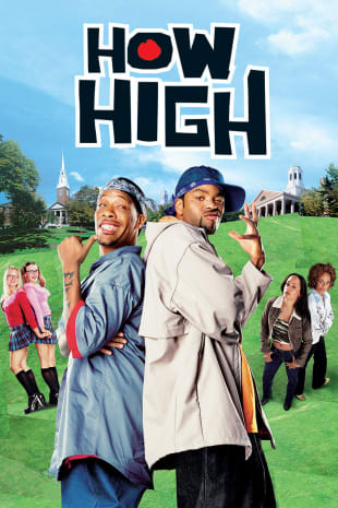movie poster for How High
