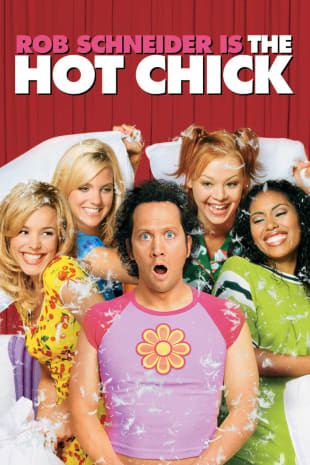 movie poster for The Hot Chick