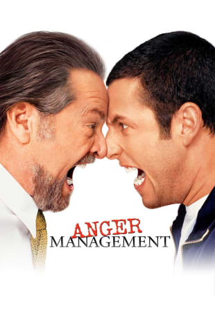 movie poster for Anger Management