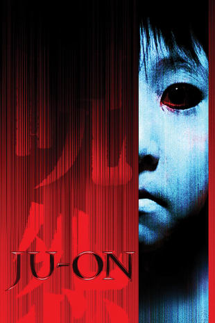 movie poster for Ju-on: The Grudge