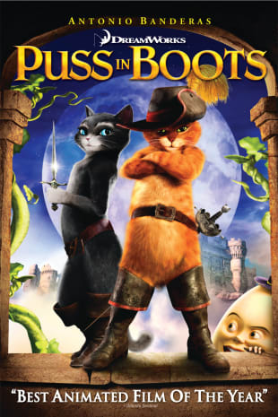 movie poster for Puss In Boots