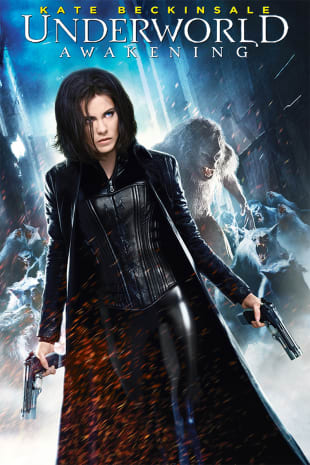 movie poster for Underworld Awakening