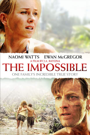 movie poster for The Impossible