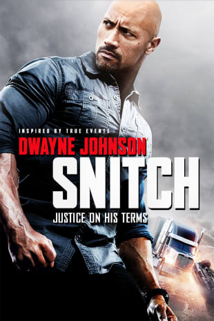 movie poster for Snitch