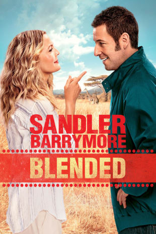 movie poster for Blended