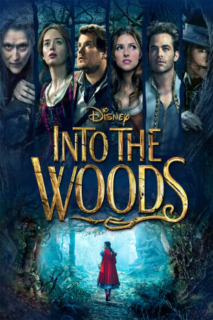 movie poster for Into The Woods