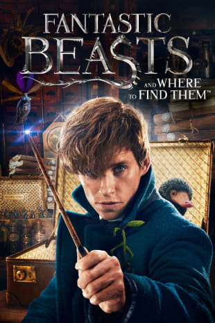 movie poster for Fantastic Beasts And Where To Find Them