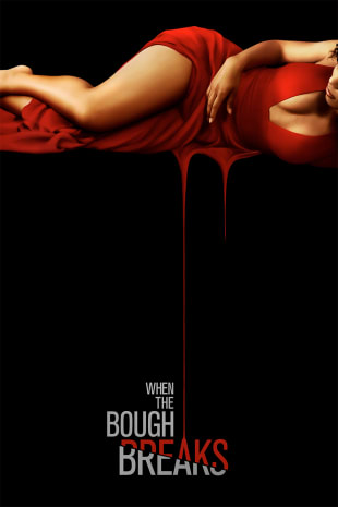 movie poster for When The Bough Breaks