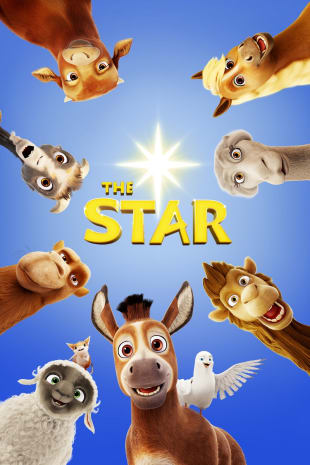 movie poster for The Star