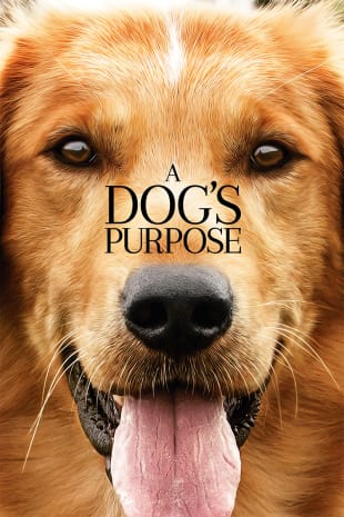movie poster for A Dog's Purpose