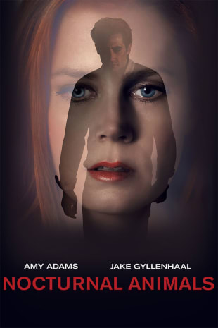 movie poster for Nocturnal Animals