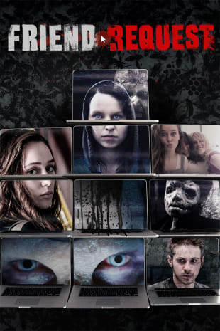 movie poster for Friend Request