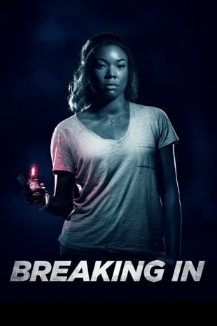 movie poster for Breaking In