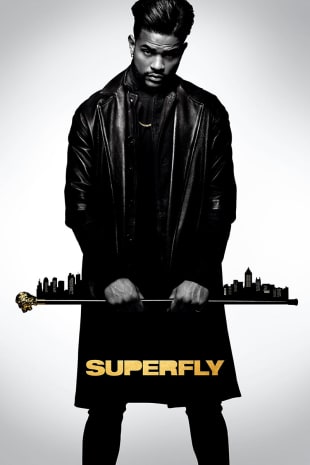 movie poster for Superfly