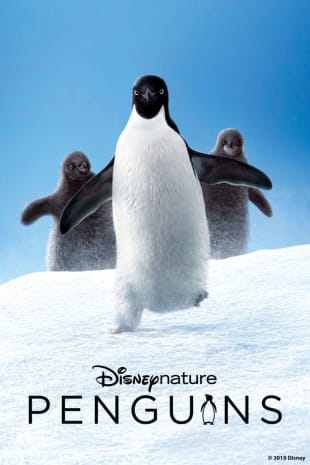 movie poster for Penguins (Disneynature)