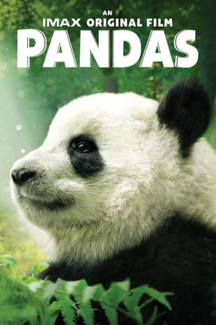 movie poster for Pandas