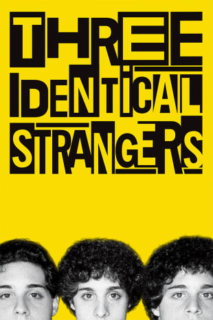 movie poster for Three Identical Strangers